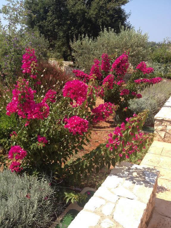 Korallis Villas Livathos  Buitenkant foto