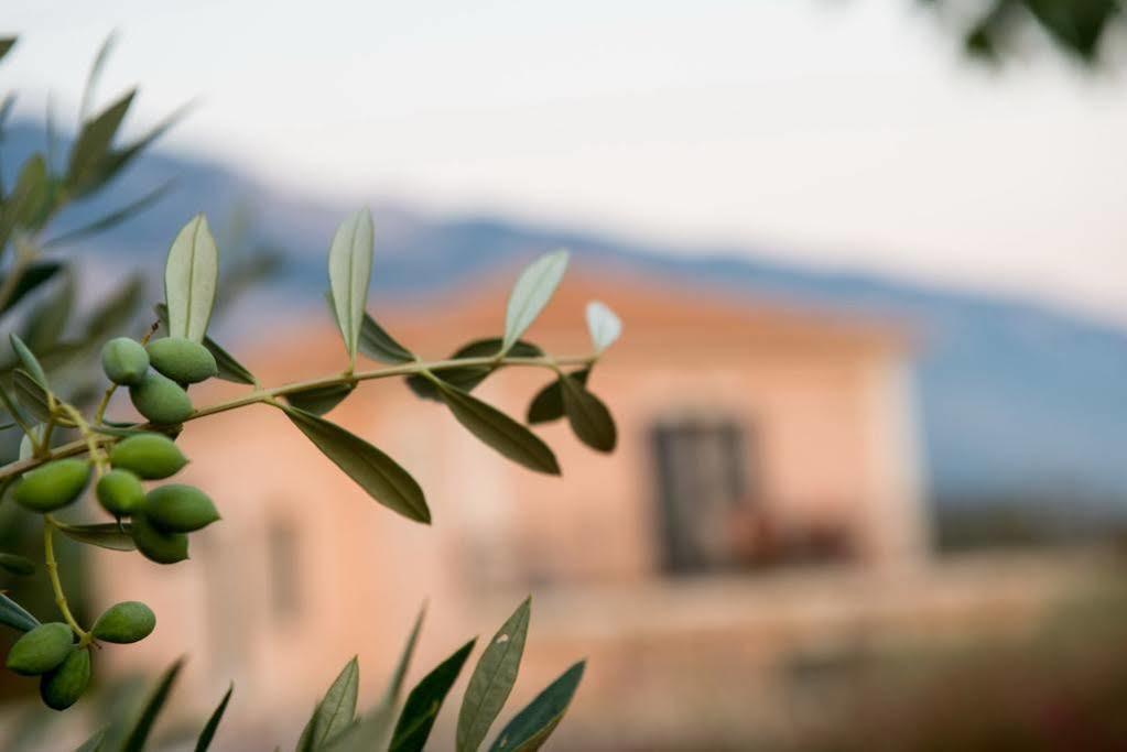 Korallis Villas Livathos  Buitenkant foto